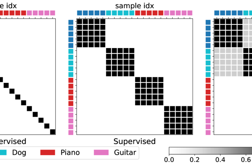  REVUE PAMER: LOSKS CONTRASTIF-SEMPLATIONS