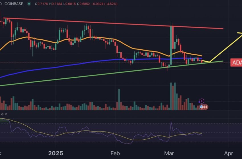  Cardano est-il sur le point de tirer? L’analyste dit qu’une grande surtension d’ADA est proche