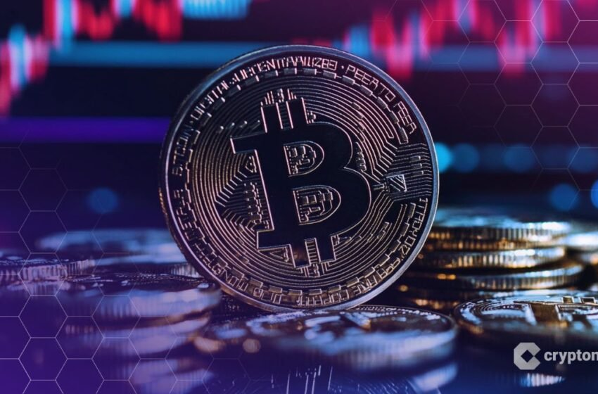  Cryptoquant: 10 milliards de dollars Bitcoin Futures Capitulation Signals Key Deteverafing Event