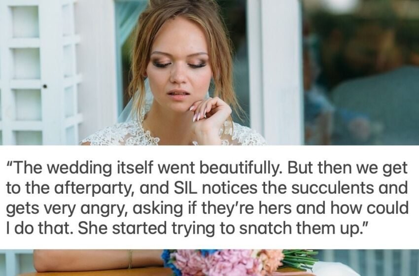 «Aita pour avoir utilisé mes fleurs de jardin de SIL dans mon bouquet de mariage? + Mise à jour