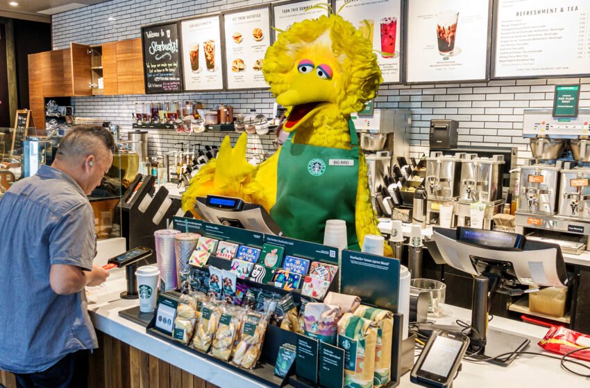 Big Bird vu travailler chez Starbucks local après les coupes de financement PBS