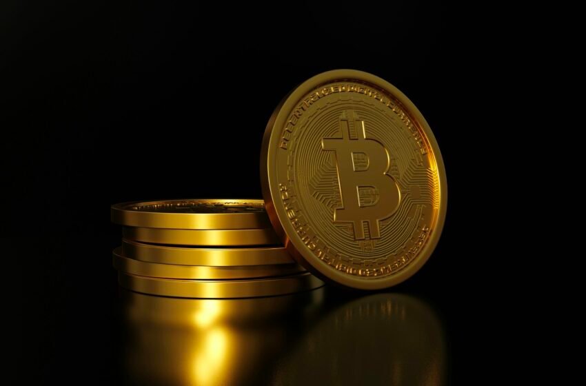 L’analyste populaire Planb s’attend à ce que le prix du bitcoin double en 2025 car le marché des ours n’est pas là