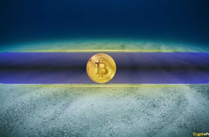  Voici quand le bitcoin va en bas et quelle est la prochaine: les experts de l’industrie pèsent