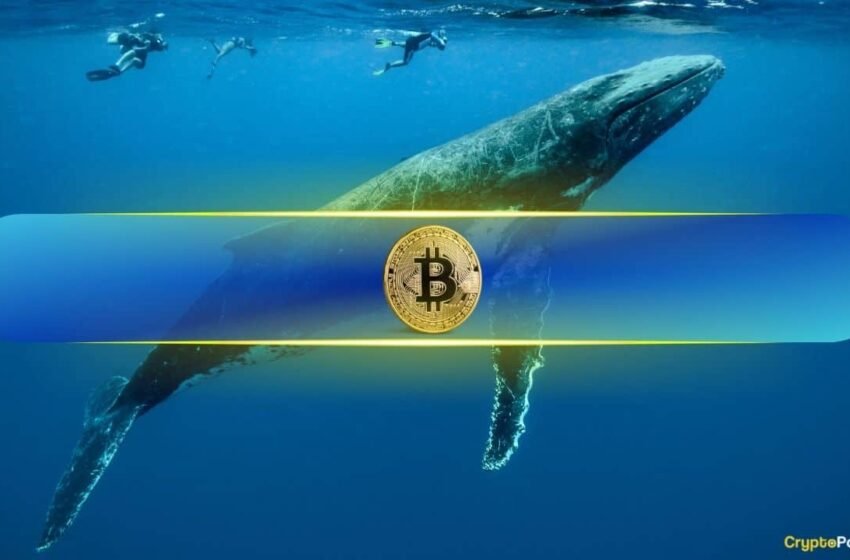  Le prix Bitcoin cible 90 000 $ alors que les baleines BTC se déroulent en accumulation