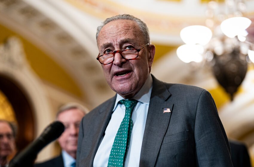  Chuck Schumer aide à retirer les démocrates du bord du courage