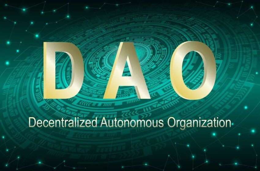  Main Types Of DAO Tools