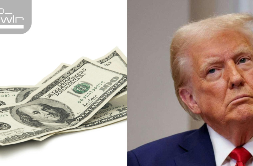 FAUX CONSEIL à 100 $ est une annonce Trump