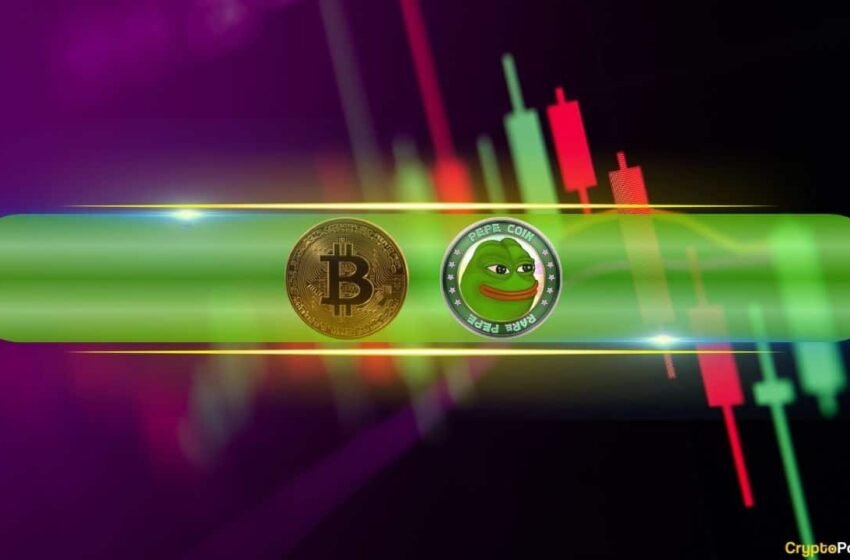  Pepe explose de 16% par jour, le prix du bitcoin se calme à 83 000 $ après les données CPI (Market Watch)