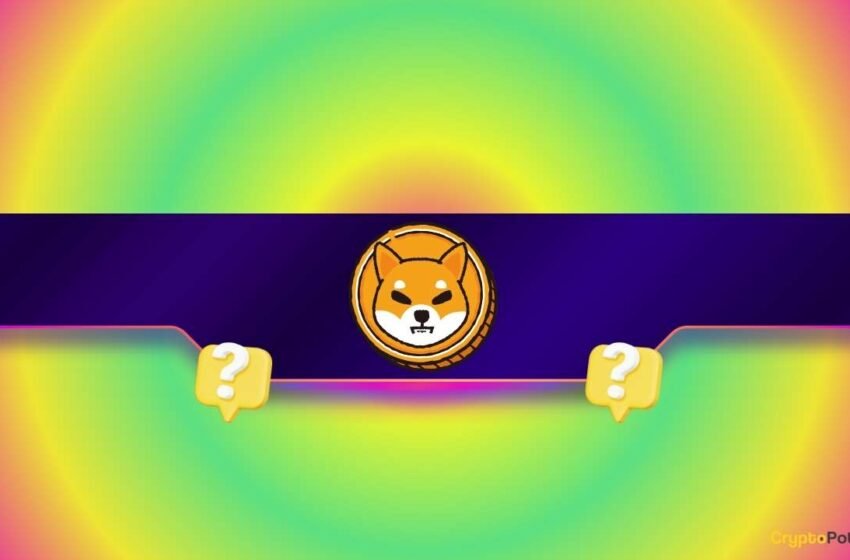  CLÉ SHIBA INU Metric Skyrocket de 2 000%: Shib Rally Entring?