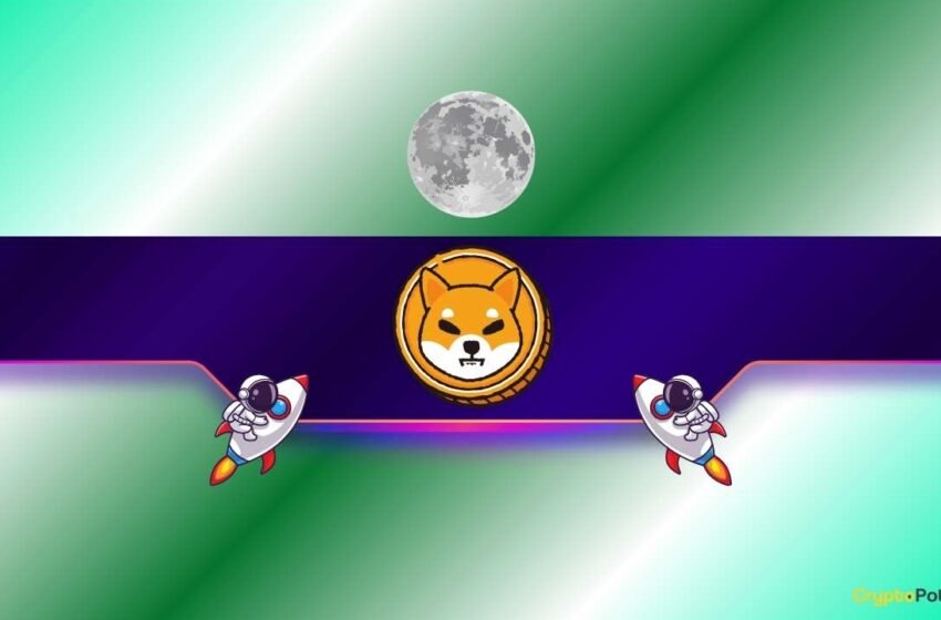  Shiba inu (shib) «à la lune» mais dans cette condition cruciale (Bitcoin Advocate pèse)