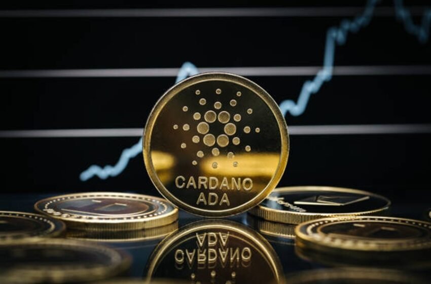  Cardano (ADA) amorcé pour une cassure majeure – mais les taureaux doivent maintenir le support clé de 0,80 $