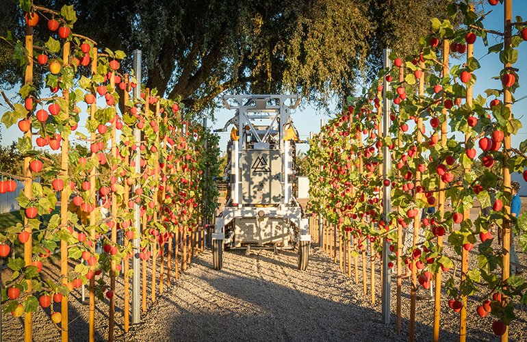 Robot de ferme avancé dans un stand de cueillette de démonstration.