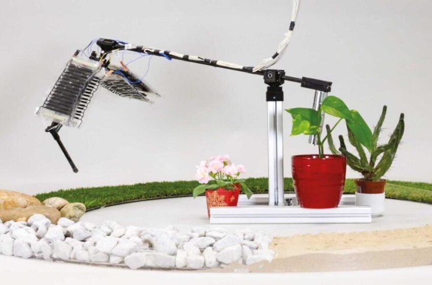  Robotique musculaire: une nouvelle frontière en génie biomimétique