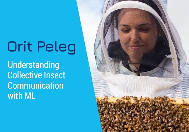 Comprendre la communication collective des insectes avec ML avec Orit Peleg