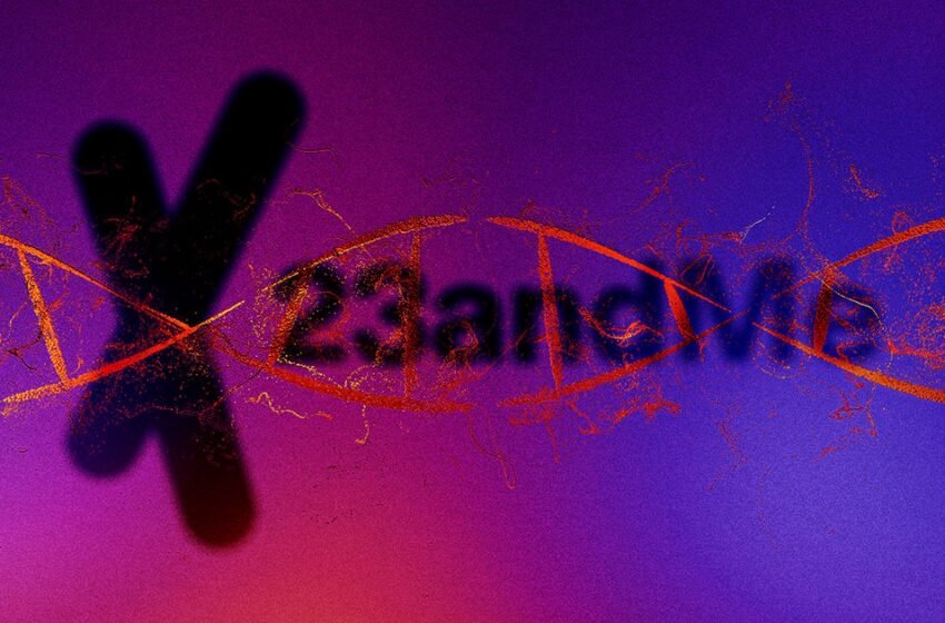  23andMe en faillite vient de vendre toutes vos données d&rsquo;ADN