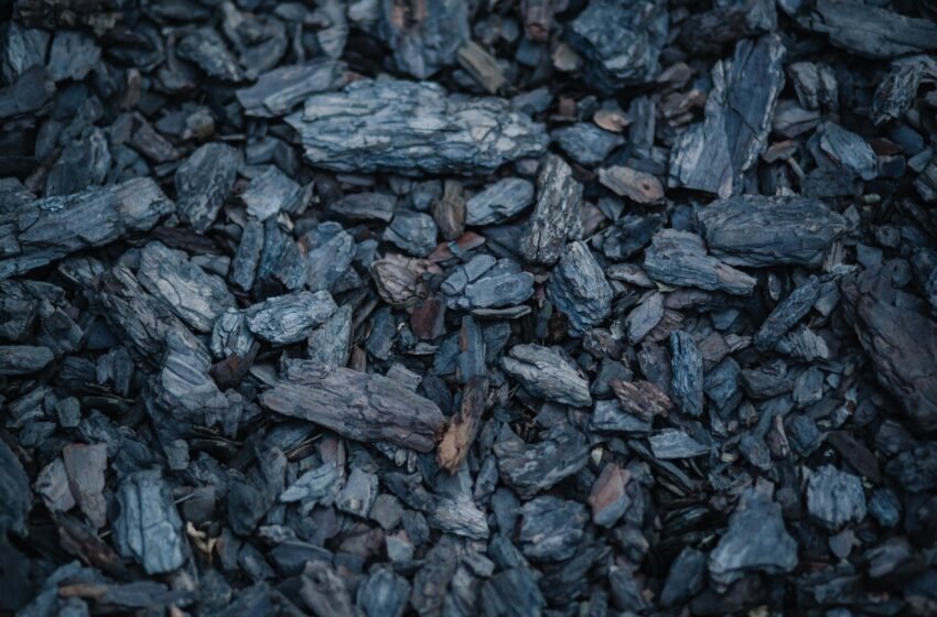 Le passage de l’Afrique du Sud du charbon aux énergies renouvelables: comment ça se passe