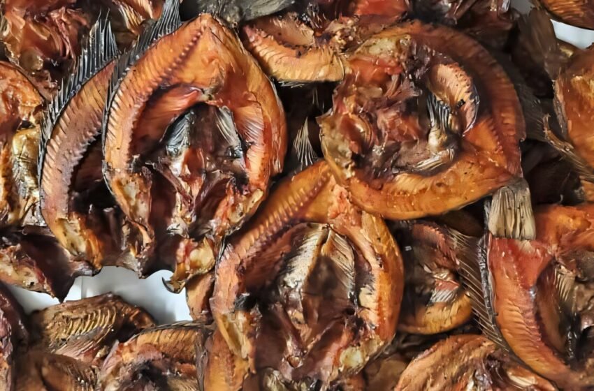  Les fours écologiques aident les surempes de poisson du Malawi à réduire les pertes