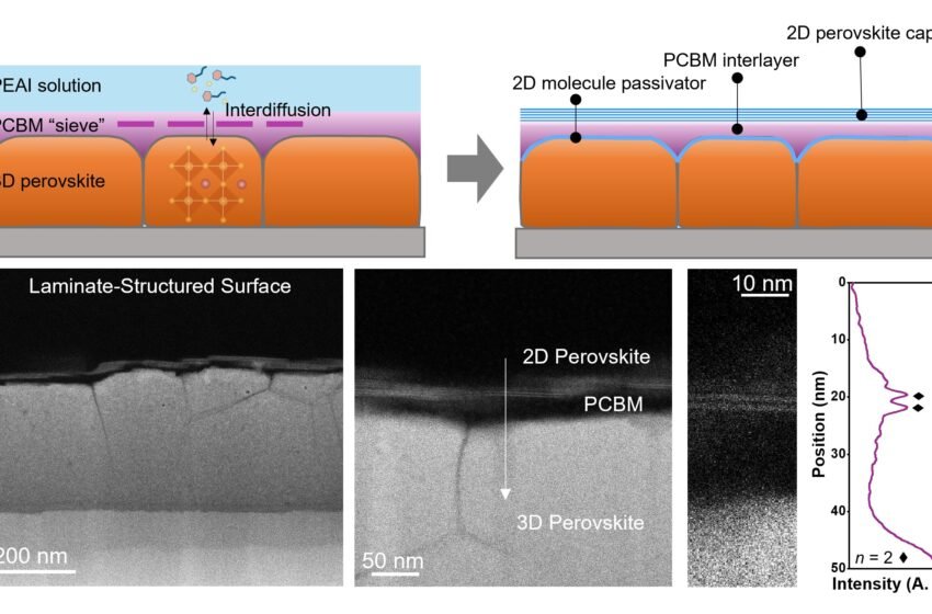 La microstructure « à trois plis » donne aux cellules solaires de la pérovskite un puissant ascenseur d’efficacité