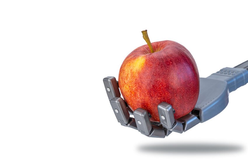 Tacta Systems recueille 75 millions de dollars pour donner aux robots un « système nerveux intelligent »