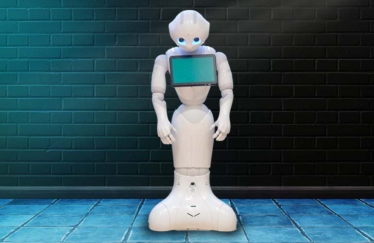 Le poivre était le produit le plus connu d'Aldebaran, qui appartenait à SoftBank et Urg.