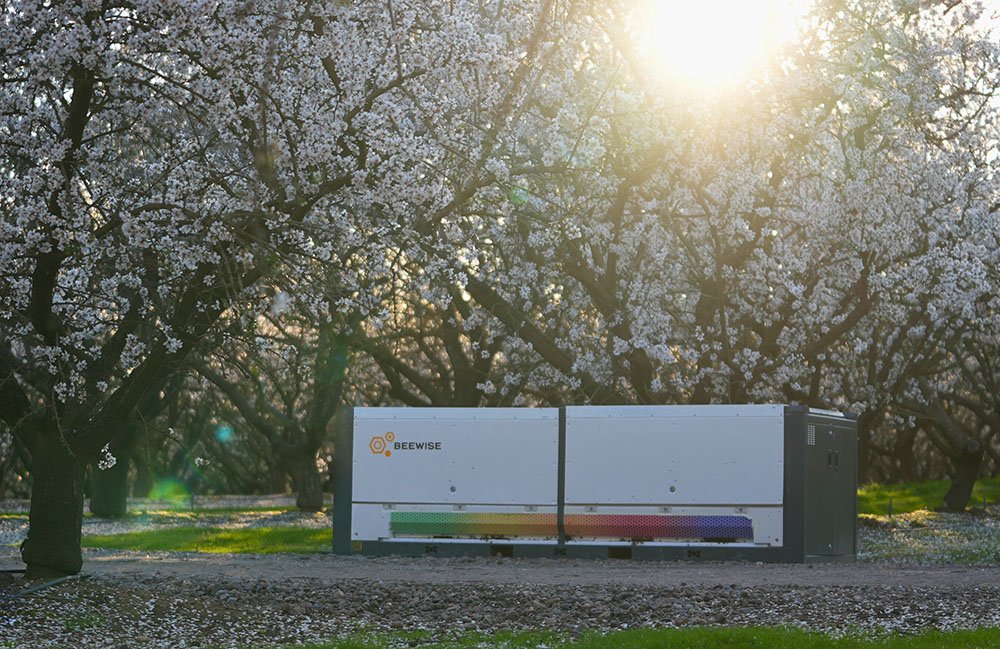 La Beehome 4 de Beewise entourée d'arbres à fleurs blanches.