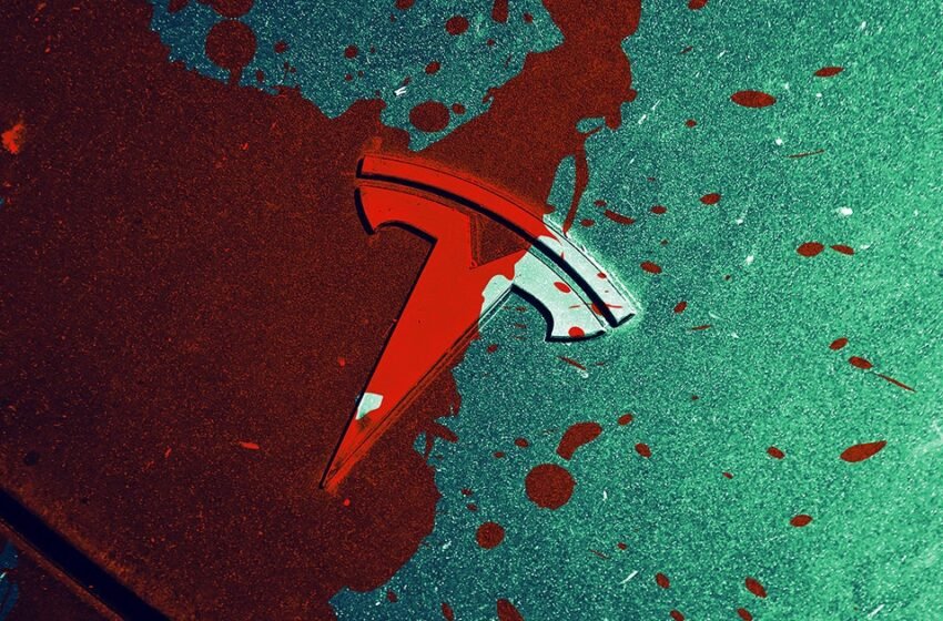 Des images terrifiantes montrent que Tesla autonome est confuse par le soleil, tondre la grand-mère innocente