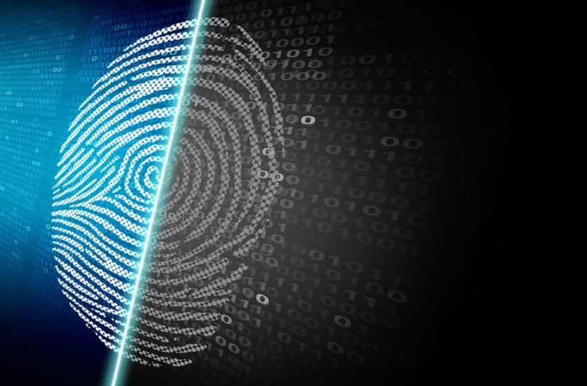  Ce fournisseur de proxy que j’ai testé est le meilleur pour le grattage Web – et ce n’est pas iproal ou marsproxies