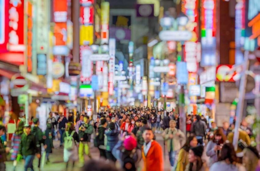 「銀のさら」 ai 盛り付けアプリ「 mibae 」が変えた教育と現場力